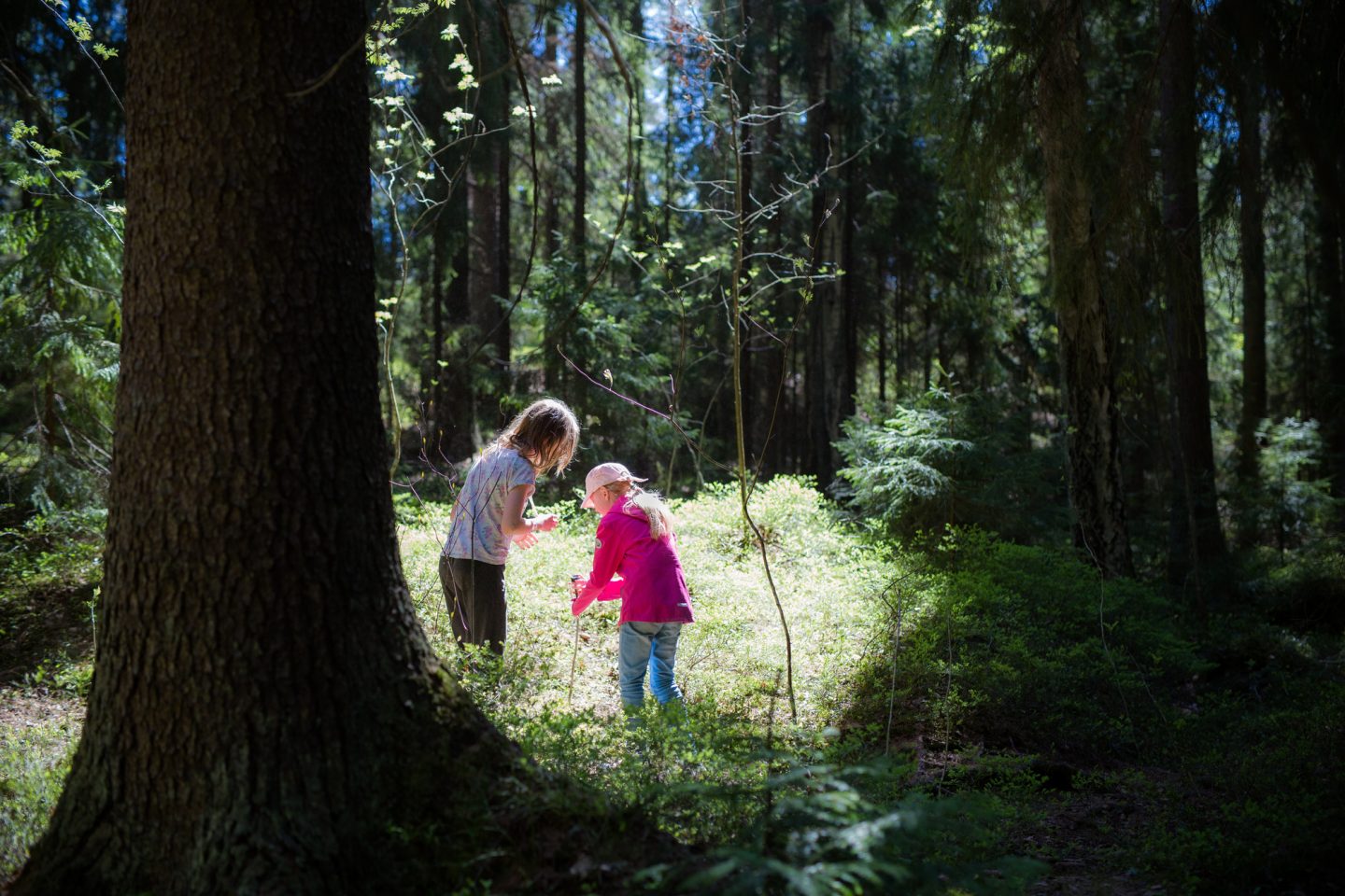 Metsäkasvatustoimintaa. Kuva: Raisa Kyllikki Ranta