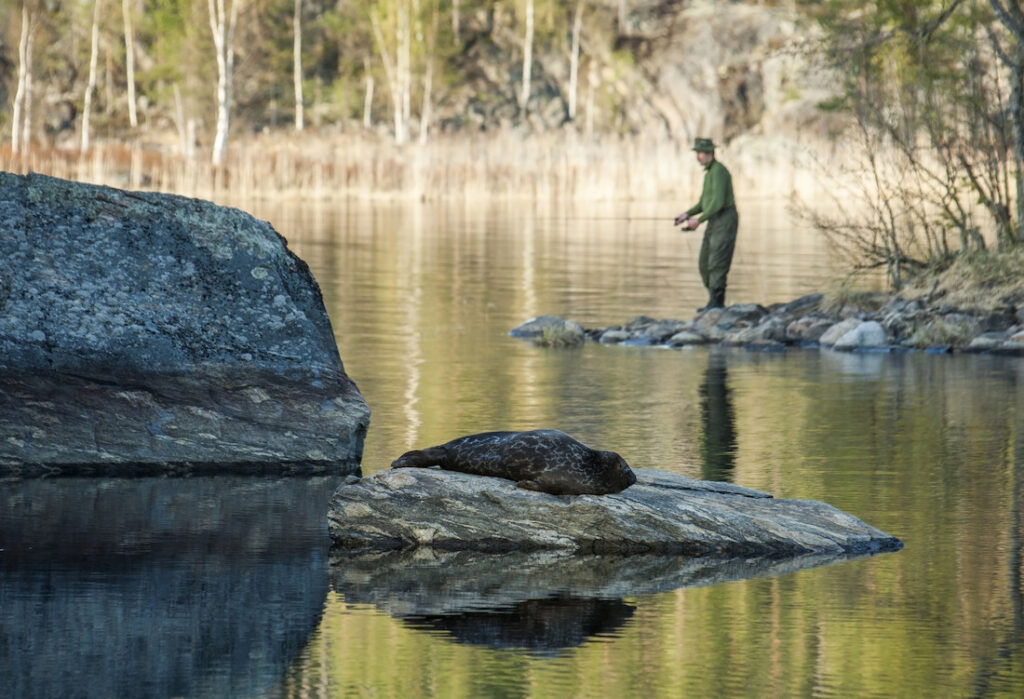 Kalastaja järvimaisemassa.