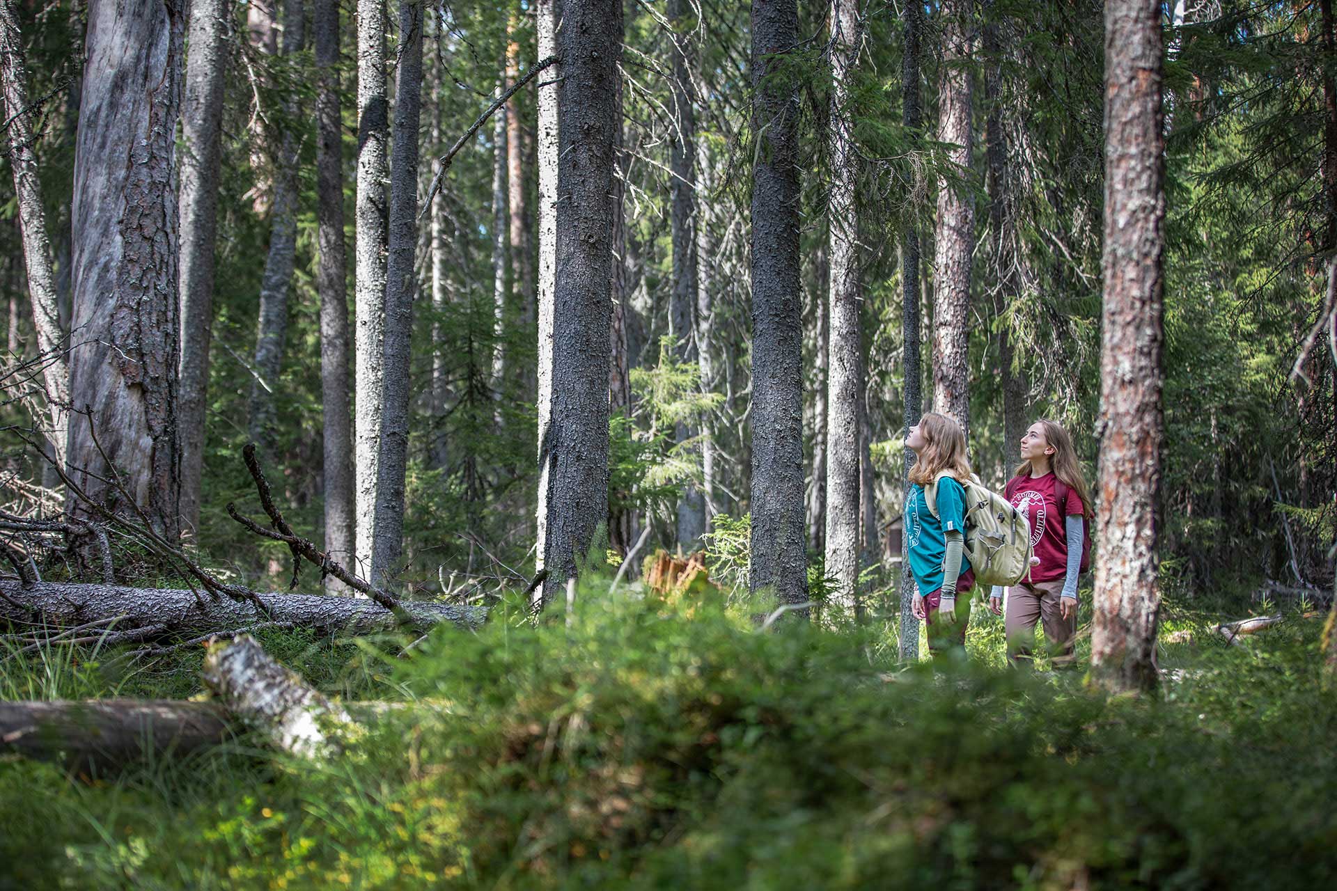 Kaksi ihmistä metsässä Suomen luonnonsuojeluliiton retrologopaidat päällä.