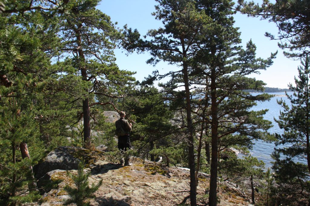 Metsäasiantuntija seisoo kalliolla Itä-Uudenmaan saaristossa. Kuva: Tuuli Hakulinen