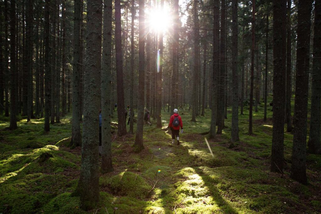 Ihminen kävelee metsässä