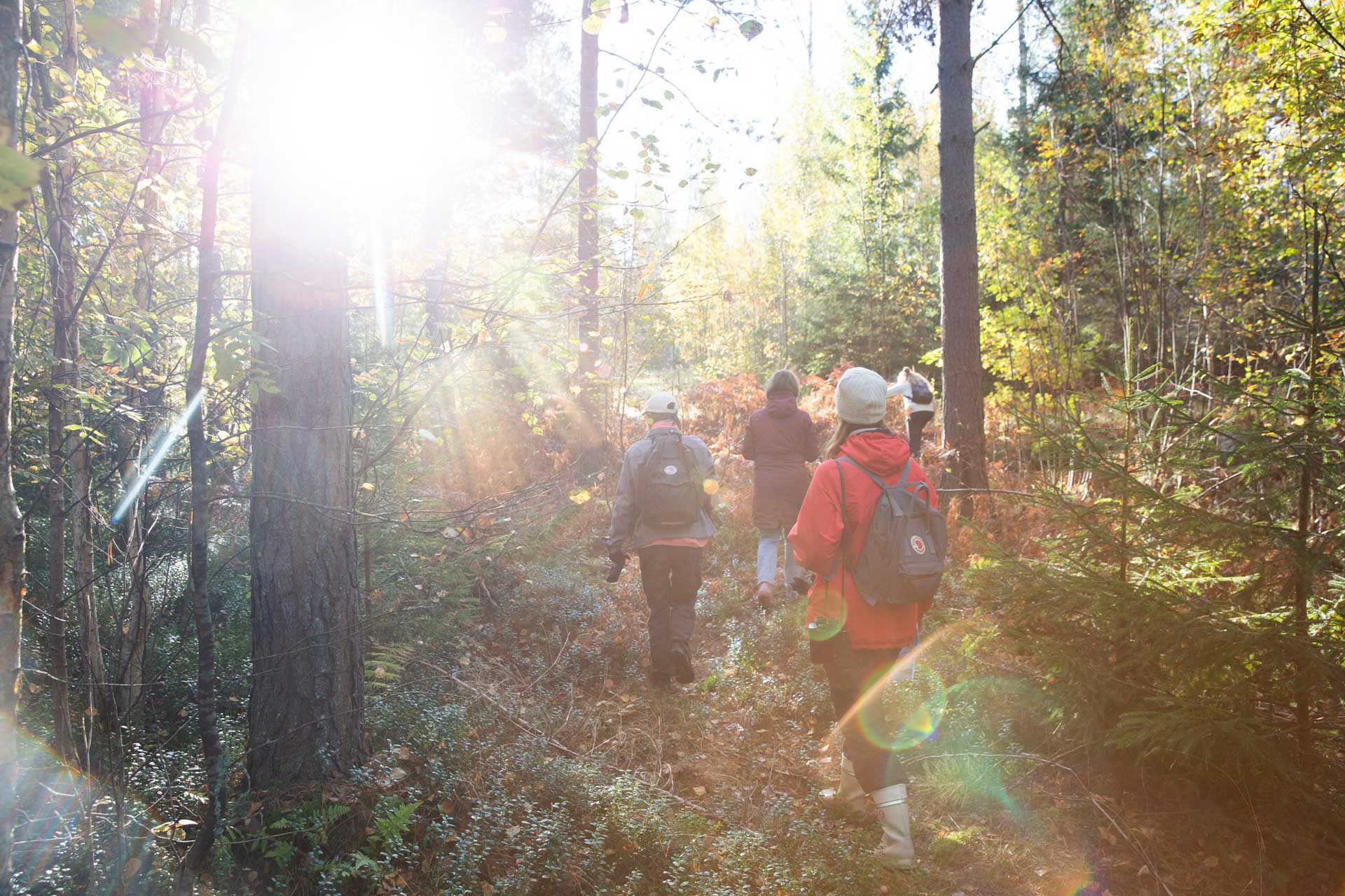 Ihmisiä metsässä retkellä