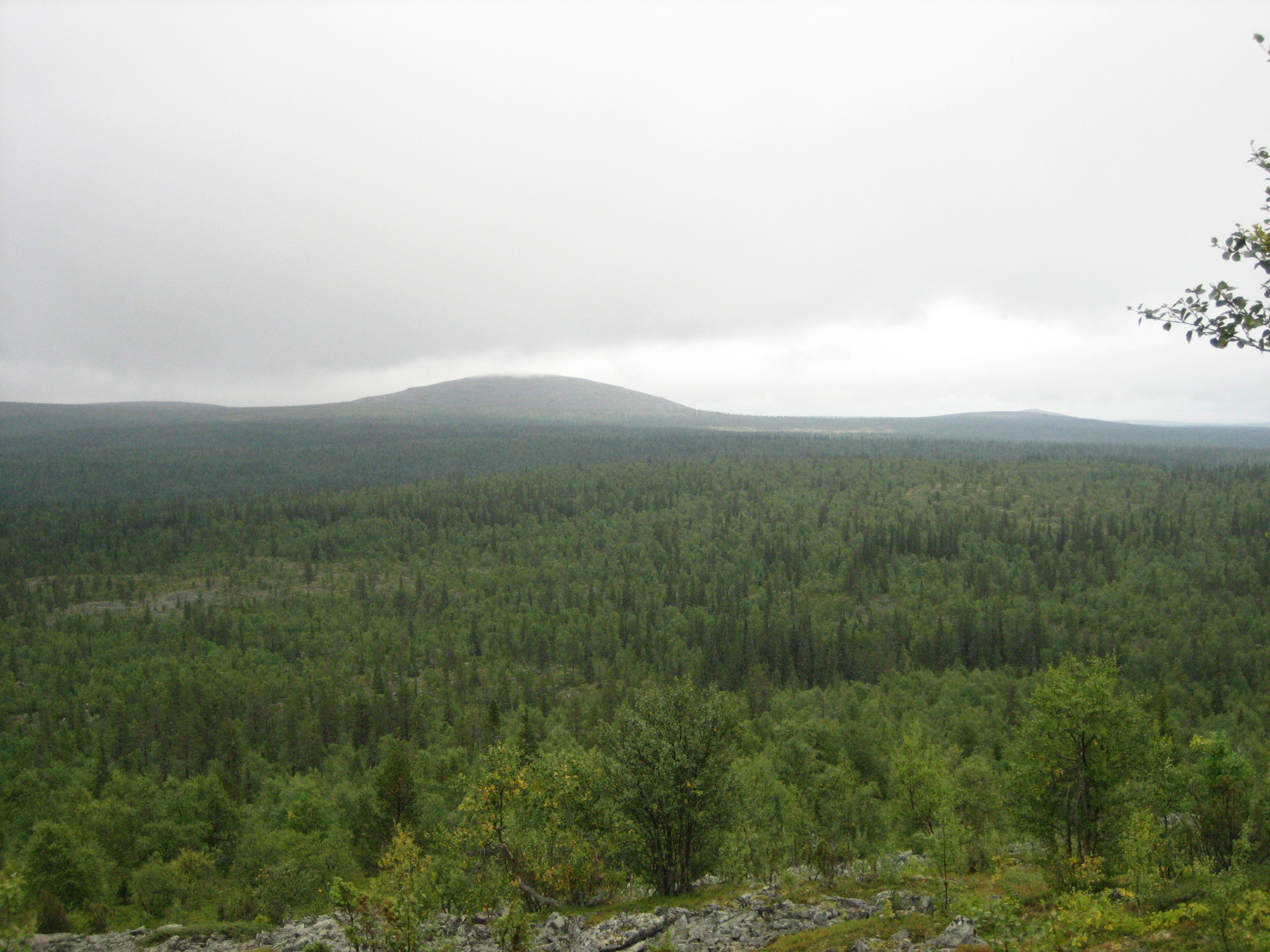 Värriön luonnonpuisto.