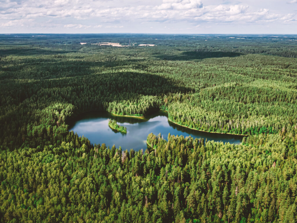 Ilmakuva metsistä.