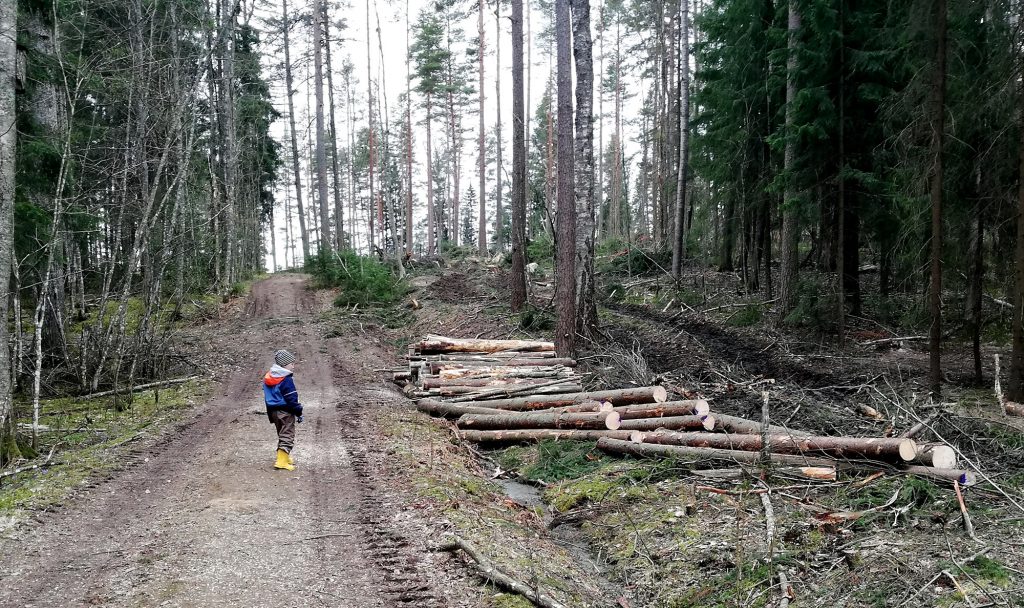 Veikkolanpuron hakkuita huhtikuussa 2020