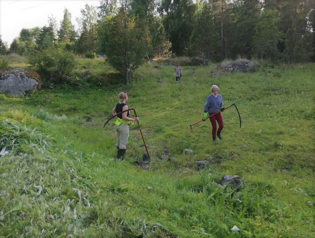 Niittäjiä Kokkilan kedon niittotalkoissa