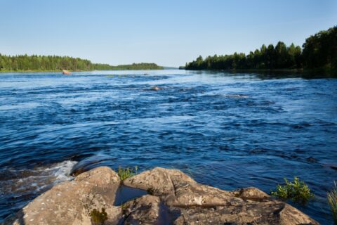 Kesäinen kuva Kemijoelta, etualalla näkyy rantakalliota, taustalla metsäisiä saaria. Veden pinta kareilee.