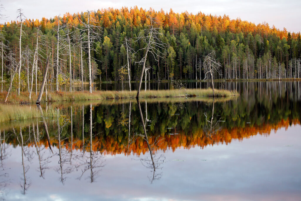 Vesistöä ja metsää Nurmeksessa